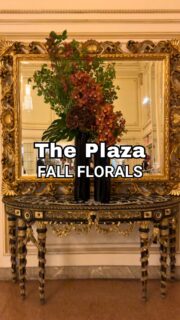 🍂 Fall florals are making a beautiful statement at The Plaza Hotel! ❤️The Plaza’s seasonal displays are always a highlight to take in when walking through its magnificent main entrance, and this autumn arrangement is no exception!The rich colors and beautiful textures, set against the hotel’s already gorgeous interior, are a wonderful celebration of the season.📍 The Plaza Hotel | NYCNew York’s iconic hotel lobbies are destinations in themselves! Come explore with me on a private hotel lobby tour and discover the history, architecture, and beautiful details that make each one so special. ❤️#theplazahotelnyc #nychotels #theplazahotel #nycfall #falltravel