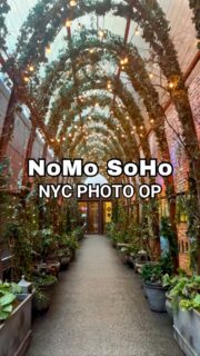 Some entryways in New York stop you in your tracks — and the passage at NoMo SoHo is one of them. 🌿✨Step beneath the cascading greenery and the brick, the archway, the layers of ivy and flowers create a frame that feels straight out of a movie scene — effortlessly romantic and unmistakably New York. 🤩It’s one of those iconic spots where every photo feels a little more magical.Just Ask Christine knows exactly where to lead you to these picture-perfect corners of the city. 📸