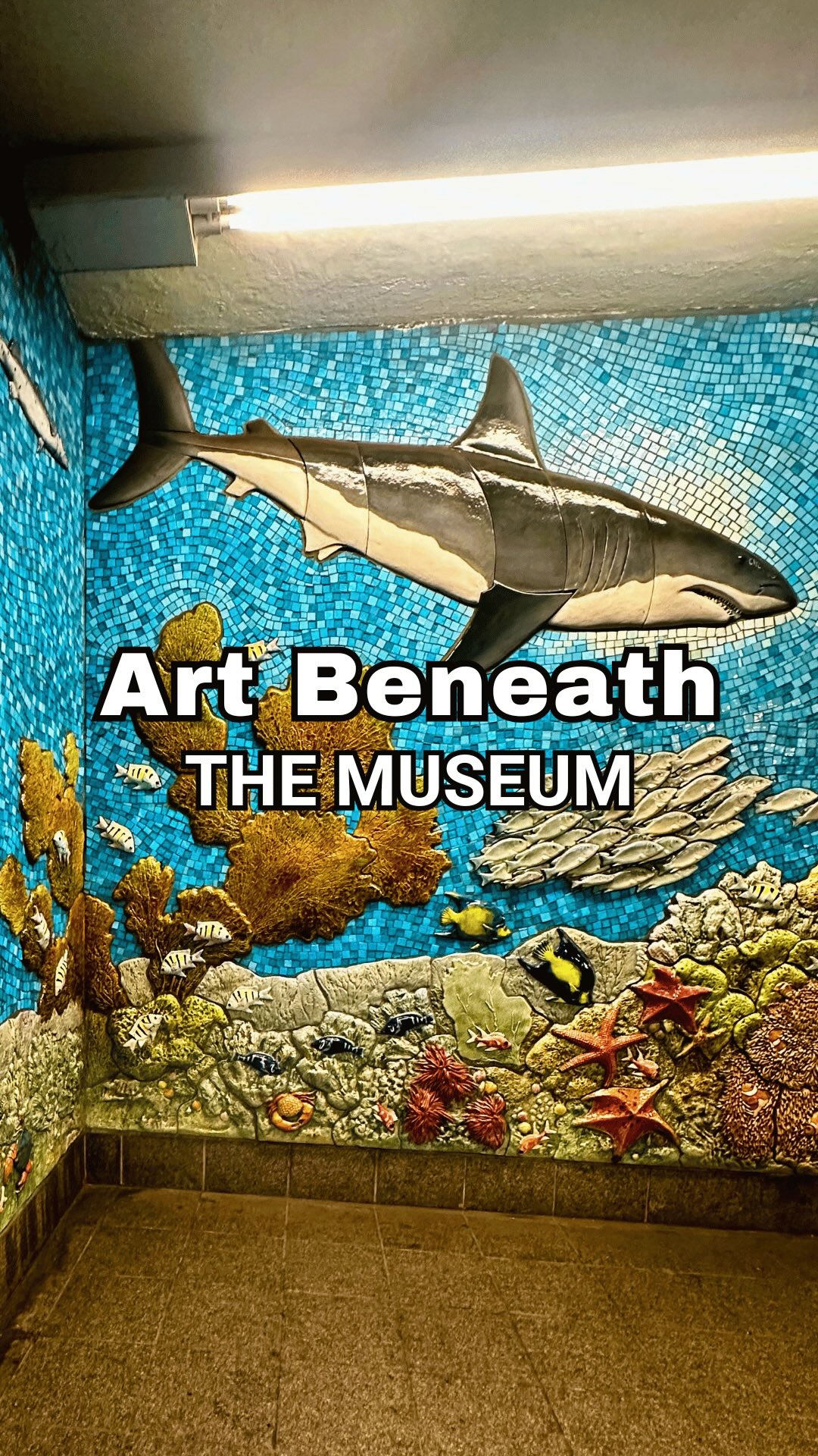 Before you even step inside the American Museum of Natural History, there’s an exhibit you don’t want to miss. 🎨🚇Located in the 81st Street subway station, For Want of a Nail is a spectacular mosaic that tells the story of our planet, from Earth’s core and ancient fossils to dinosaurs, marine life, DNA, and the far reaches of the universe. It’s a beautiful reminder that in New York, art and discovery often begin in the most unexpected places.Next time you’re visiting the museum, don’t rush inside. Pause for a moment and discover the masterpiece waiting beneath the surface.✨ Follow @JustAskChristine for more unforgettable places, fascinating stories, and one-of-a-kind ways to experience New York City.#nycart #nyceducation #mtaarts #nycitinerary